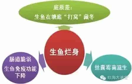 寒潮来袭，低温期水产养殖管理方案关键点梳理