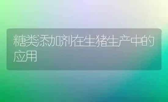 糖类添加剂在生猪生产中的应用 | 家畜养殖