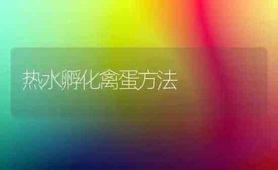热水孵化禽蛋方法 | 家禽养殖