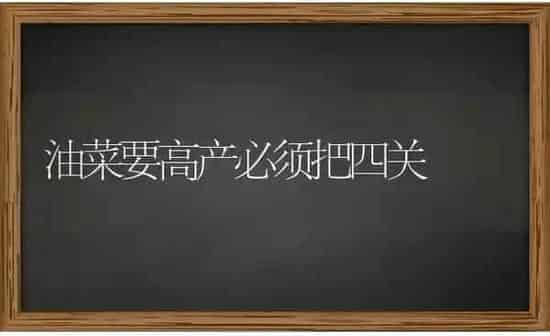 母猪产程过长的原因及对策 | 家畜养殖