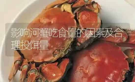 影响河蟹吃食量的因素及合理投饵量 | 淡水养殖