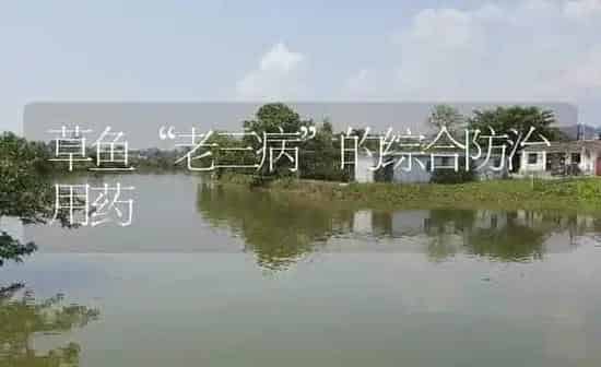 草鱼“老三病”的综合防治用药 | 养殖病虫害防治