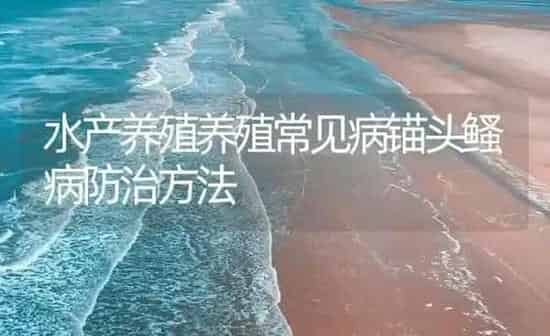 水产养殖养殖常见病锚头鳋病防治方法 | 养殖病虫害防治