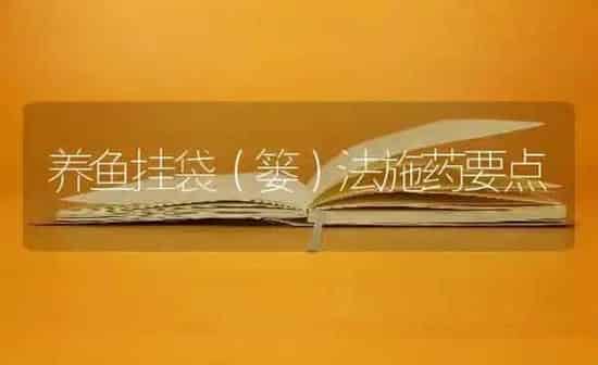 养鱼挂袋（篓）法施药要点 | 养殖病虫害防治