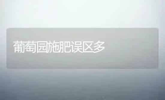 猪瘟与弓形体病混合感染的诊断 | 家畜养殖