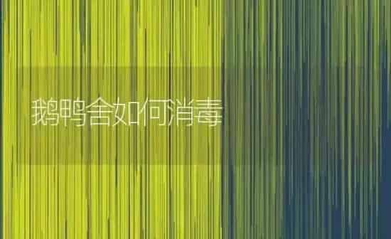 鹅鸭舍如何消毒 | 家禽养殖
