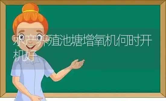 水产养殖池塘增氧机何时开机好 | 动物养殖百科