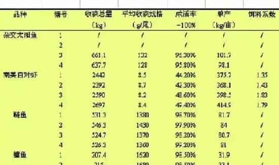 杂交太阳鱼引种与南美白对虾混养试验