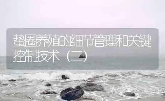 蛰圈养殖的细节管理和关键控制技术（二） | 海水养殖