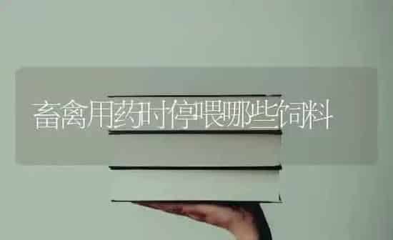 畜禽用药时停喂哪些饲料 | 养殖病虫害防治