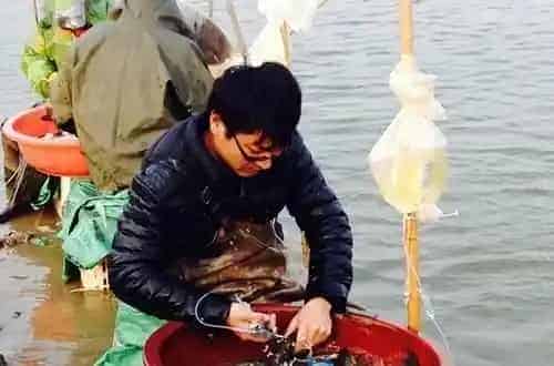 疫苗防疫大科普，您家的鱼注射了吗？