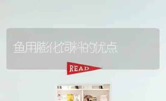 鱼用膨化饲料的优点 | 动物养殖饲料