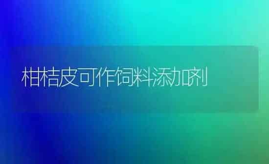 柑桔皮可作饲料添加剂 | 动物养殖饲料