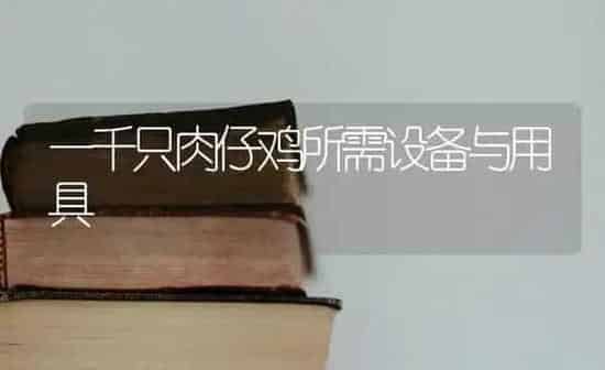 一千只肉仔鸡所需设备与用具 | 家禽养殖