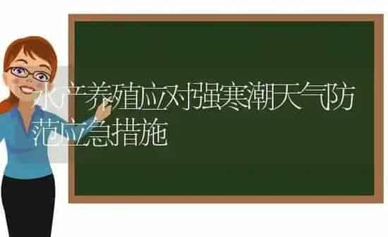 水产养殖应对强寒潮天气防范应急措施 | 动物养殖百科