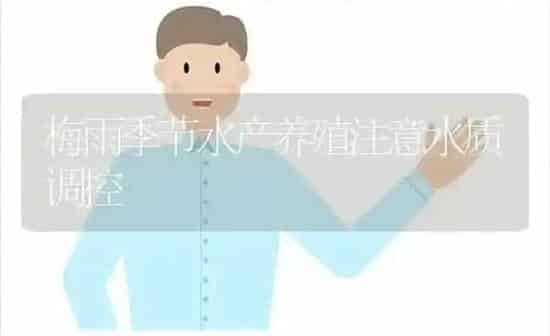 梅雨季节水产养殖注意水质调控 | 动物养殖百科