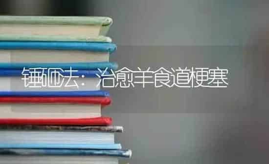 锤砸法：治愈羊食道梗塞 | 家畜养殖