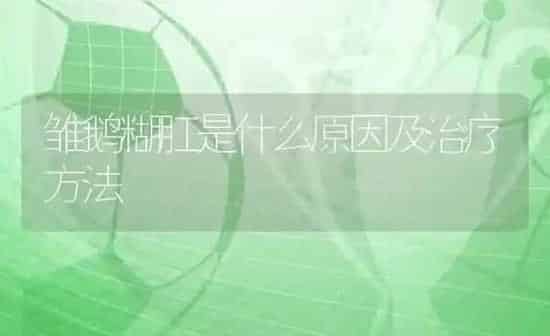 雏鹅糊肛是什么原因及治疗方法 | 家禽养殖