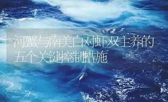 河蟹与南美白对虾双主养的五个关键控制措施 | 海水养殖