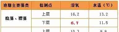 早春时节黄颡鱼烂皮、出血病预防有妙招