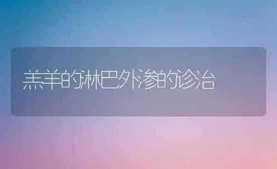 羔羊的淋巴外渗的诊治 | 家畜养殖