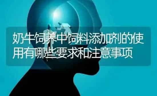 奶牛饲养中饲料添加剂的使用有哪些要求和注意事项 | 动物养殖饲料