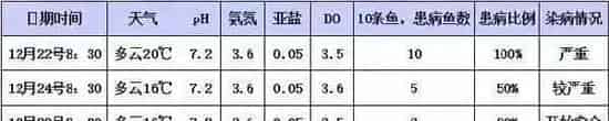 冬季生鱼“钉虫”（锚头鳋）的处理方法