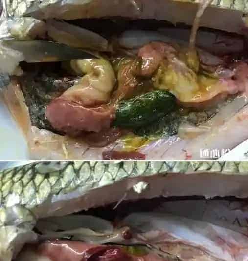 两个水库的草鱼青鱼同时发病，您用药合理了吗？