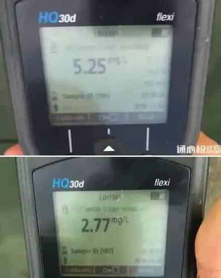 两个水库的草鱼青鱼同时发病，您用药合理了吗？