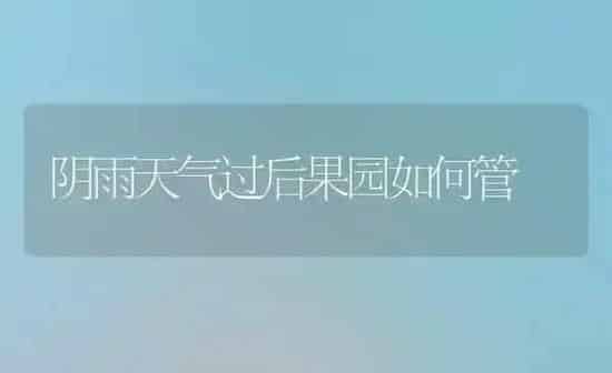 冬春畜禽发芽饲料的制作技术 | 动物养殖饲料