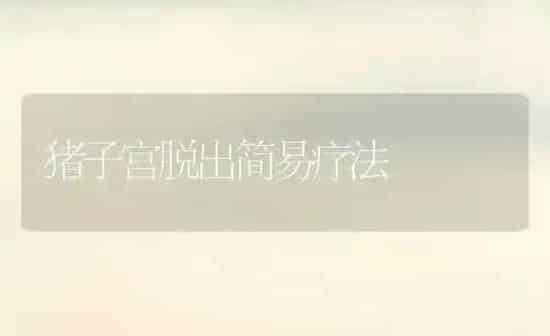 猪子宫脱出简易疗法 | 家畜养殖