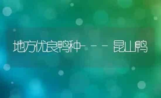 地方优良鸭种---昆山鸭 | 家禽养殖