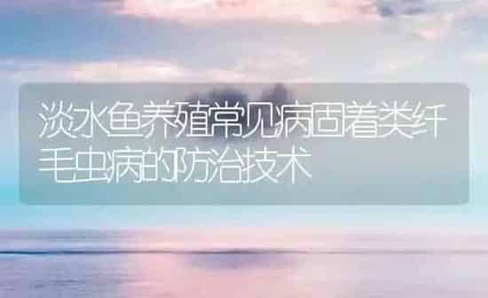 淡水鱼养殖常见病固着类纤毛虫病的防治技术 | 养殖病虫害防治