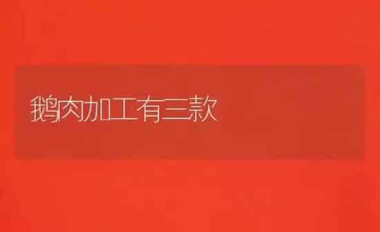 鹅肉加工有三款 | 家禽养殖