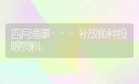 四月渔事---补放鱼种投喂饲料 | 动物养殖饲料