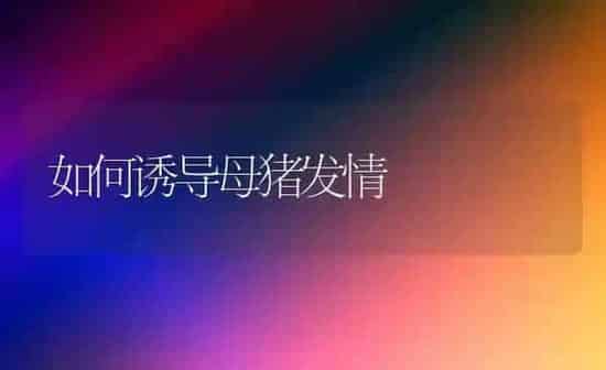 如何诱导母猪发情 | 家畜养殖