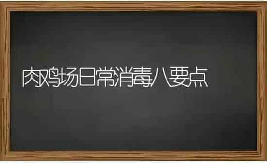 肉鸡场日常消毒八要点 | 家禽养殖