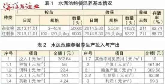 南方工厂化鲍鱼海参混养试验
