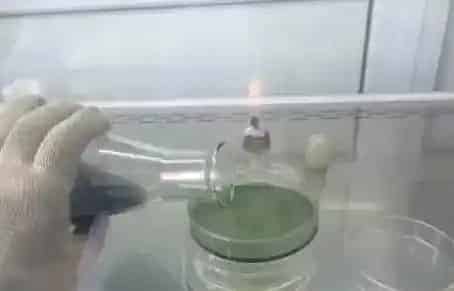 水产养殖户如何自制弧菌检测培养基
