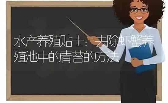 水产养殖贴士：去除虾蟹养殖池中的青苔的方法 | 动物养殖百科