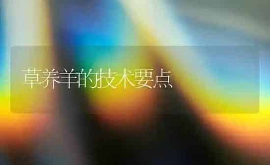草养羊的技术要点 | 家畜养殖