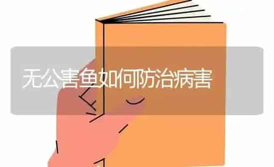 无公害鱼如何防治病害 | 淡水养殖