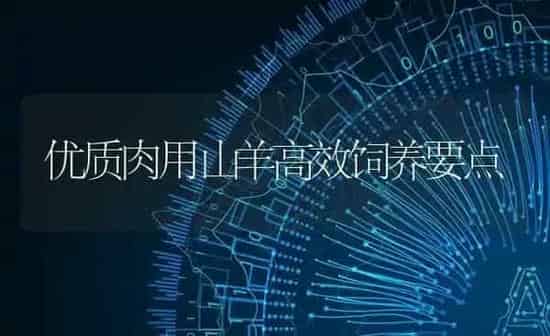优质肉用山羊高效饲养要点 | 家畜养殖