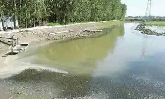 染色肥水产品或又现市场！河蟹蜕壳不遂的帮凶会是它吗？