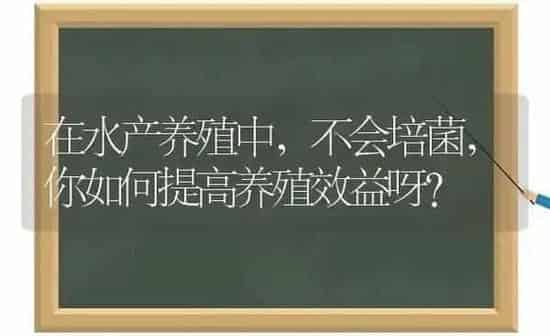 在水产养殖中,不会培菌,你如何提高养殖效益呀? | 动物养殖百科