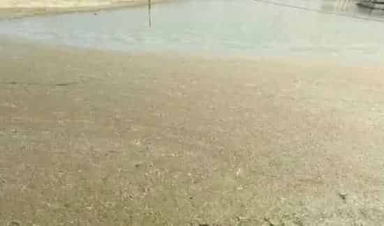 河蟹养殖三部曲之解毒