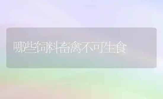 哪些饲料畜禽不可生食 | 动物养殖饲料