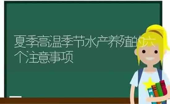 夏季高温季节水产养殖的六个注意事项 | 动物养殖百科