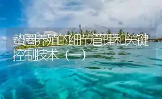 蛰圈养殖的细节管理和关键控制技术（一） | 海水养殖