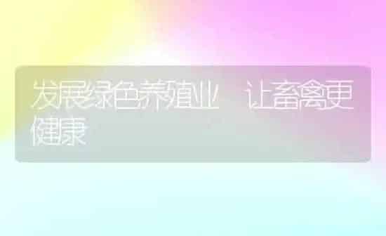 发展绿色养殖业 让畜禽更健康 | 家禽养殖